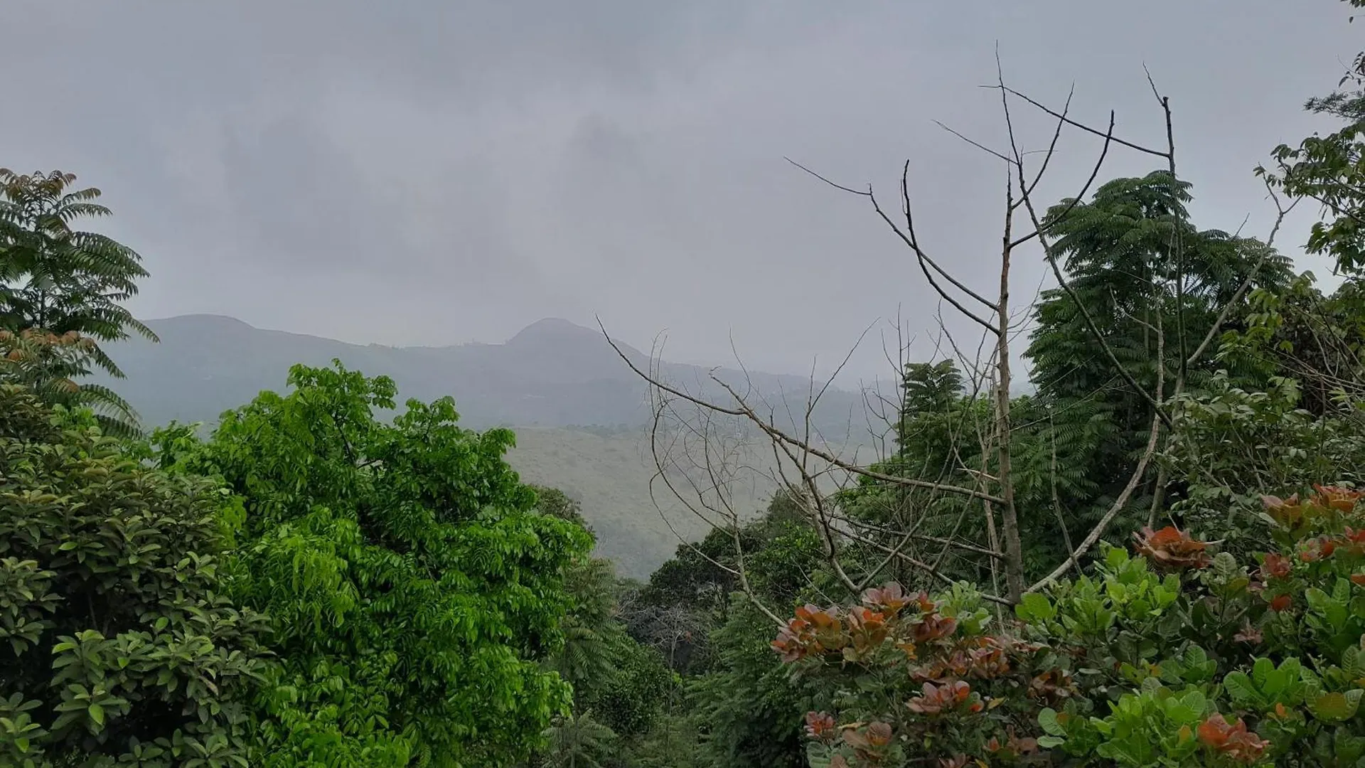 Mountain Vista Homestay Vagamon 0*,