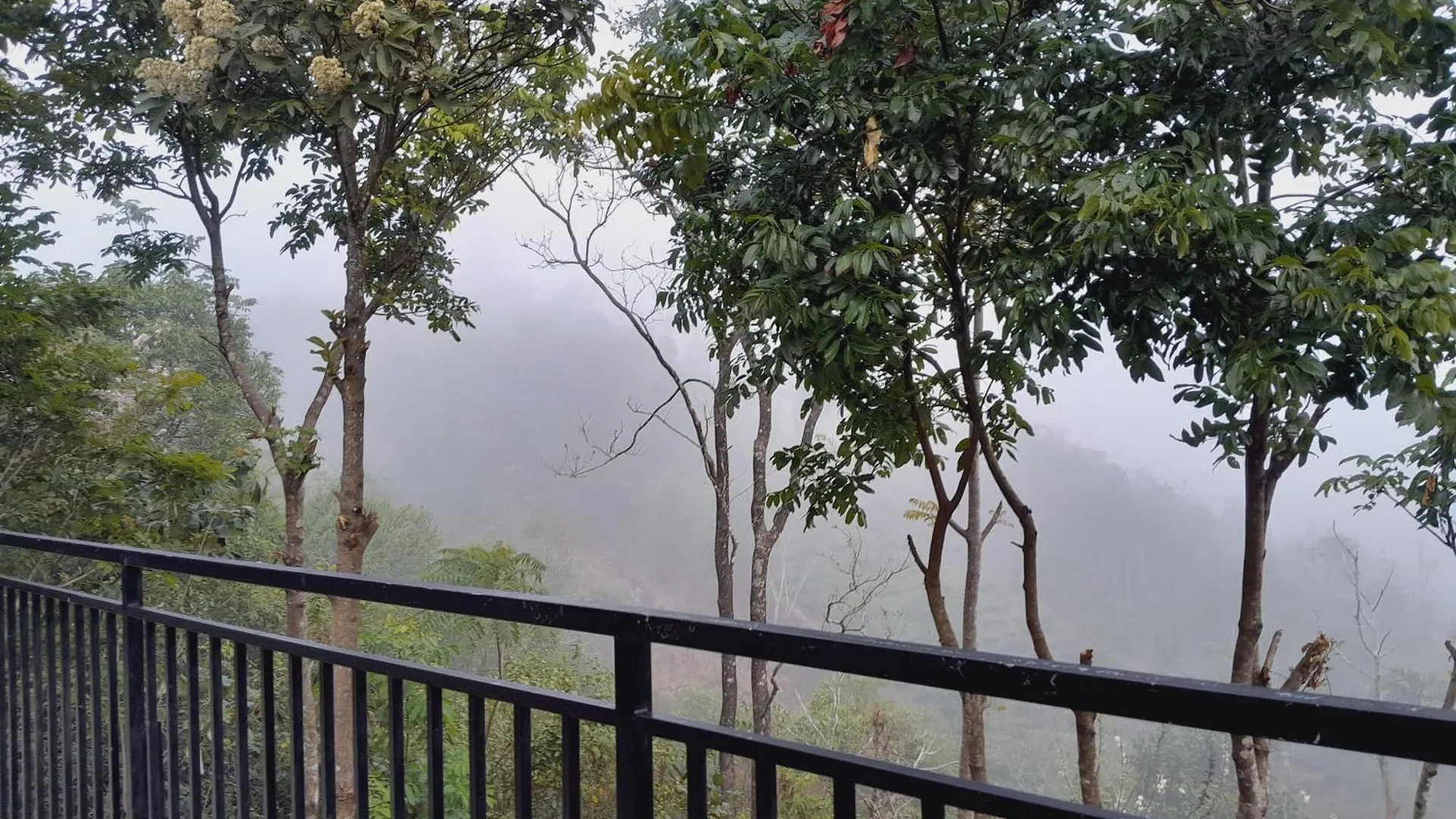 Mountain Vista Homestay Vagamon Indie