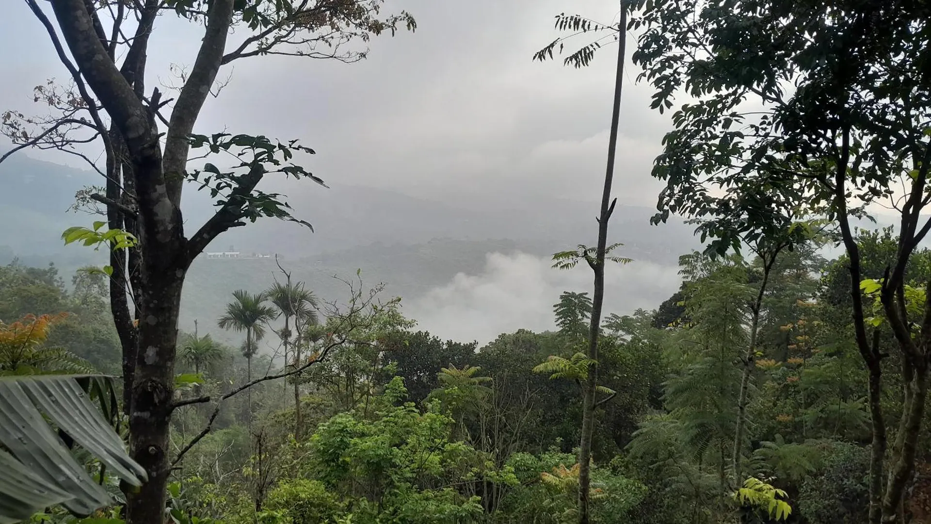 Mountain Vista Homestay Vagamon