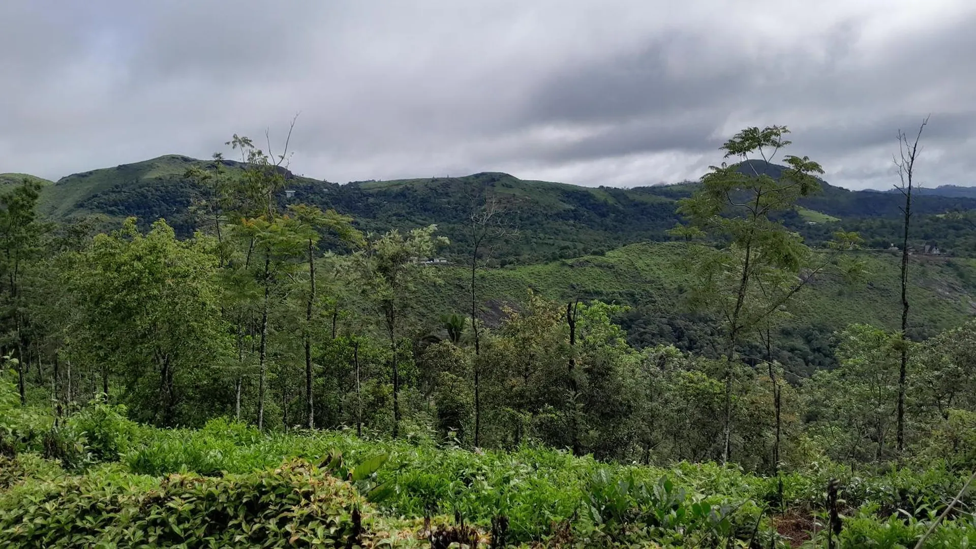 Mountain Vista Homestay Vagamon 0*,