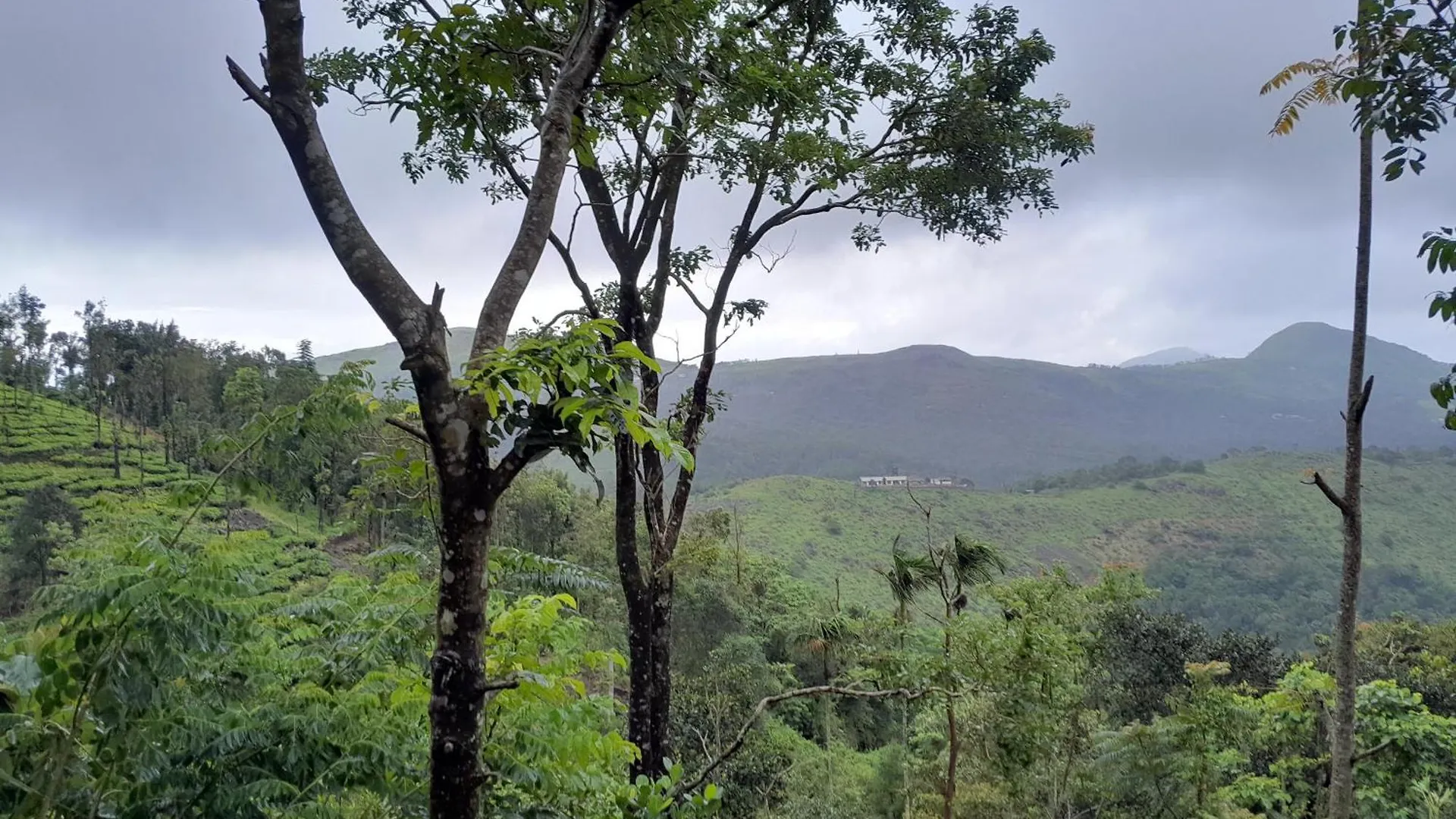 Mountain Vista Homestay Vagamon Indie