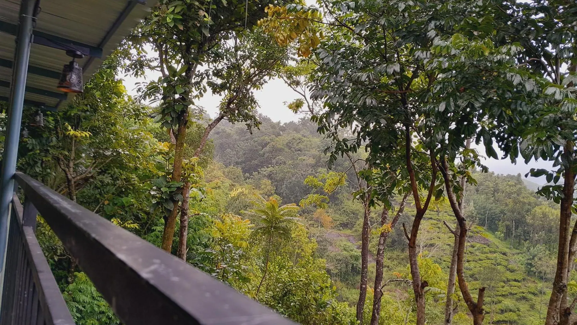 Mountain Vista Homestay Вагамон Индия